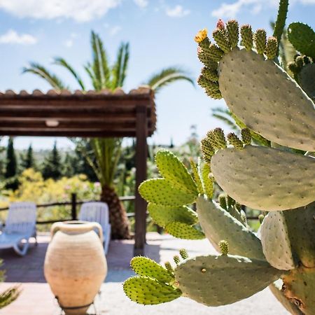 Agriturismo Vecchia Masseria Charme&Relax Сан-Микеле-ди-Ганцария Экстерьер фото
